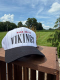 Barr-Reeve Vikings Pinstripe Embroidered Hat