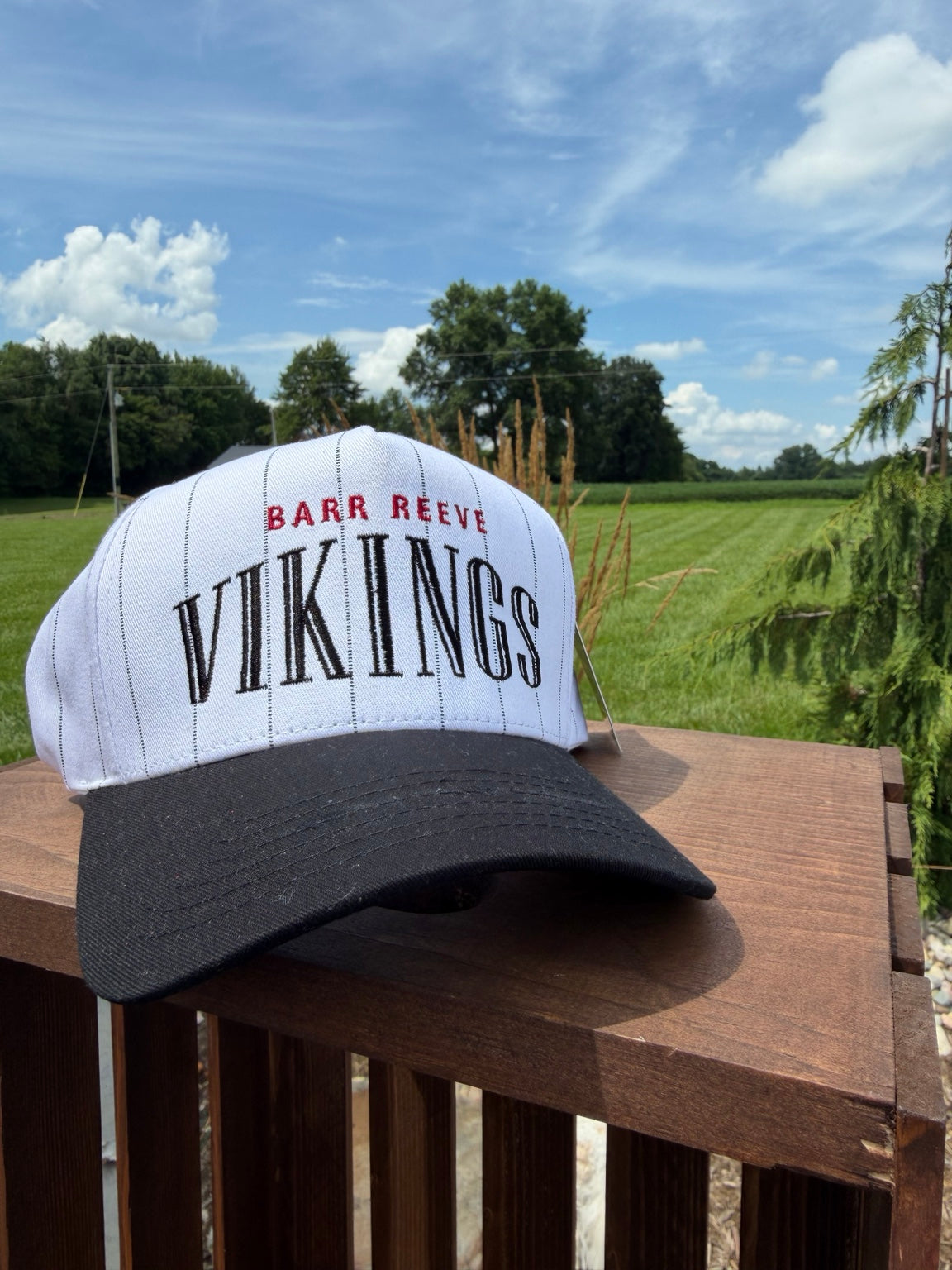 Barr-Reeve Vikings Pinstripe Embroidered Hat