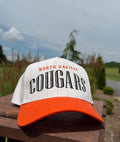 North Daviess Cougars Vintage Pinstripe Hat